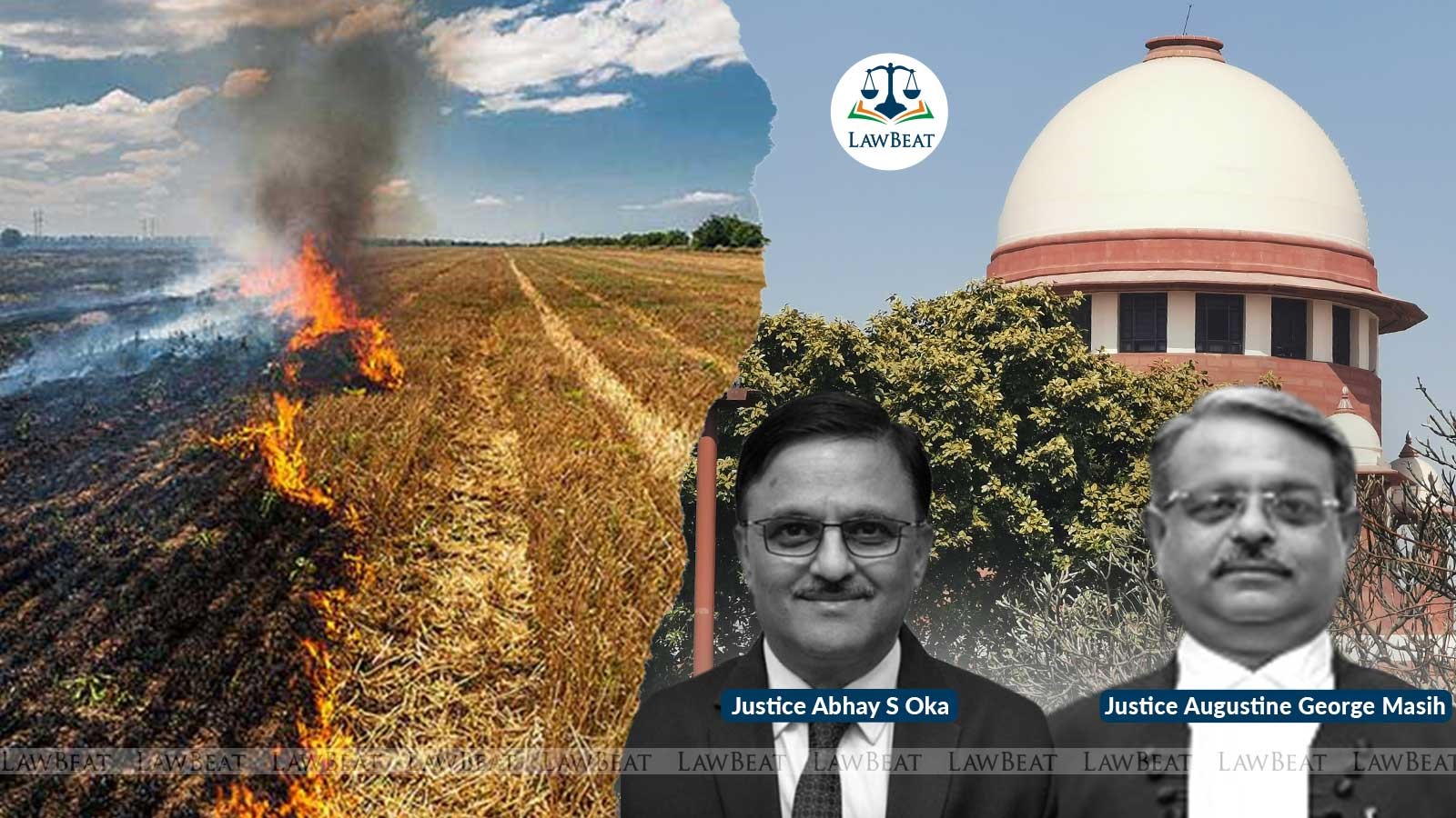 CAQM must ensure its efforts actually reduce air pollution, SC seeks better compliance report CAQM must ensure its efforts actually reduce air pollution, SC seeks better compliance report